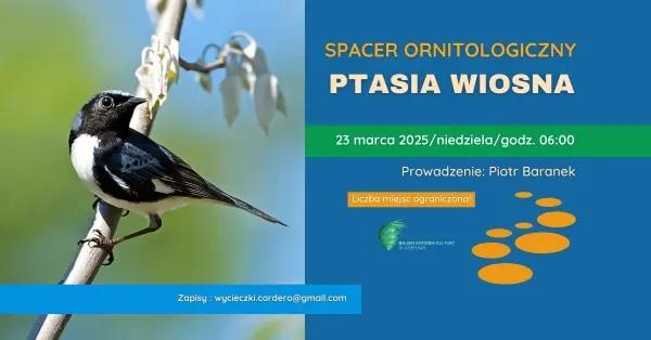 PTASIA WIOSNA | SPACER ORNITOLOGICZNY