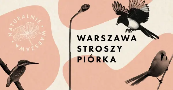 Spacerem do pracy przez park Skaryszewski