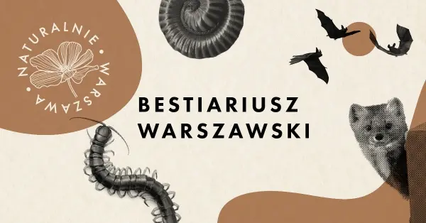 Las Bielański i czarka ognia