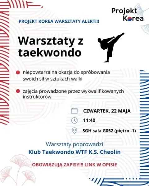 Projekt Korea - Warsztaty z Taekwondo