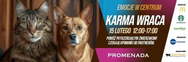 Karma Wraca – z miłością na wielkim ekranie Promenada Digital Art Space