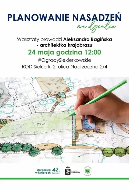 PLANOWANIE NASADZEŃ NA DZIAŁCE 