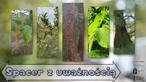Spacer z uważnością