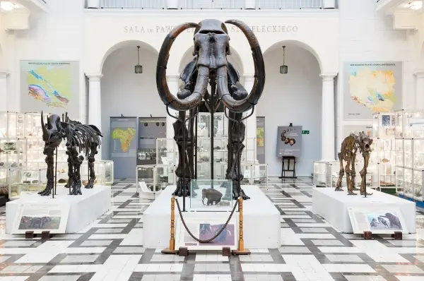 -💎 Muzeum Geologiczne 🦴-