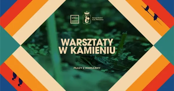 Warsztaty #wKamieniu | Płazy z Warszawy