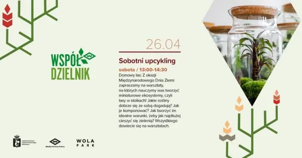 Sobotni Upcykling: Domowy las
