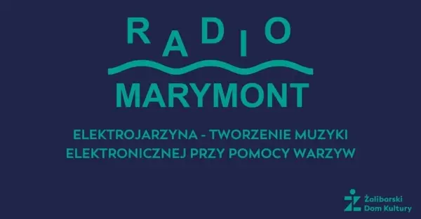 Elektrojarzyna - tworzenie muzyki elektronicznej przy pomocy warzyw na bazarku