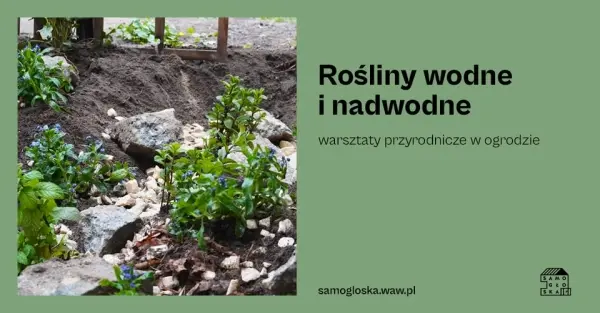 Rośliny wodne i nadwodne - warsztaty przyrodnicze w ogrodzie