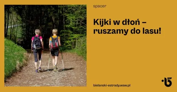 Kijki w dłoń – ruszamy do lasu!