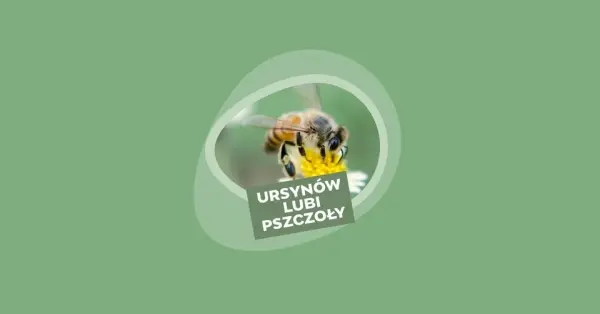 Ursynów lubi pszczoły – cykl edukacyjnych spacerów przyrodniczych