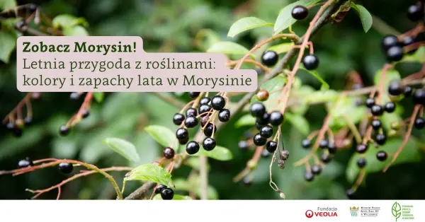 Letnia przygoda z roślinami w Morysinie