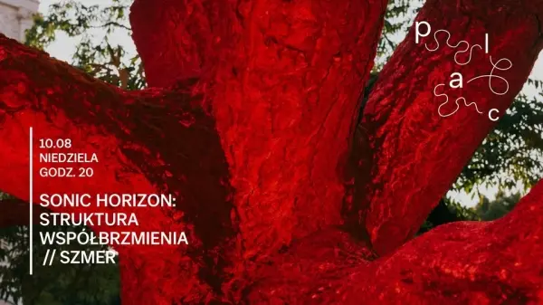 Sonic Horizon | Struktura współbrzmienia | Koncert | SZMeR