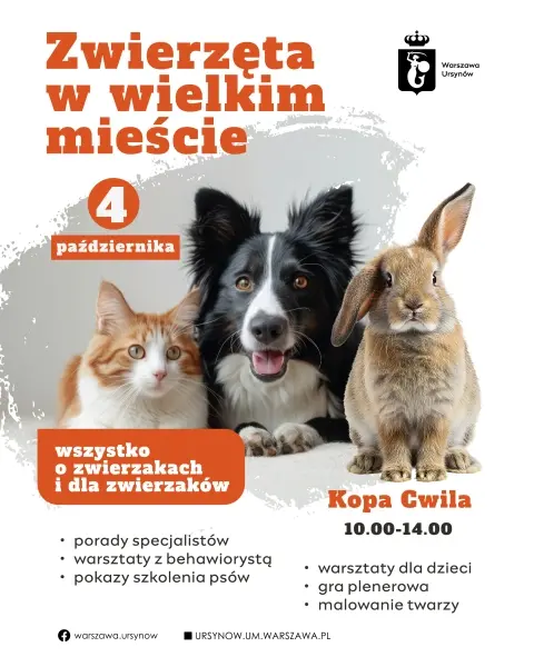 Zwierzęta w wielkim mieście | Rodzinny piknik edukacyjny
