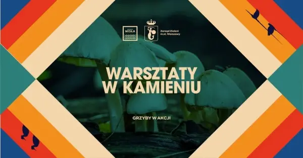 Warsztaty #wKamieniu | Grzyby w akcji