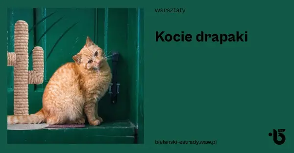 Kocie drapaki
