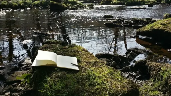 THE WRITE PLACE: Creative Writing & Improvisation